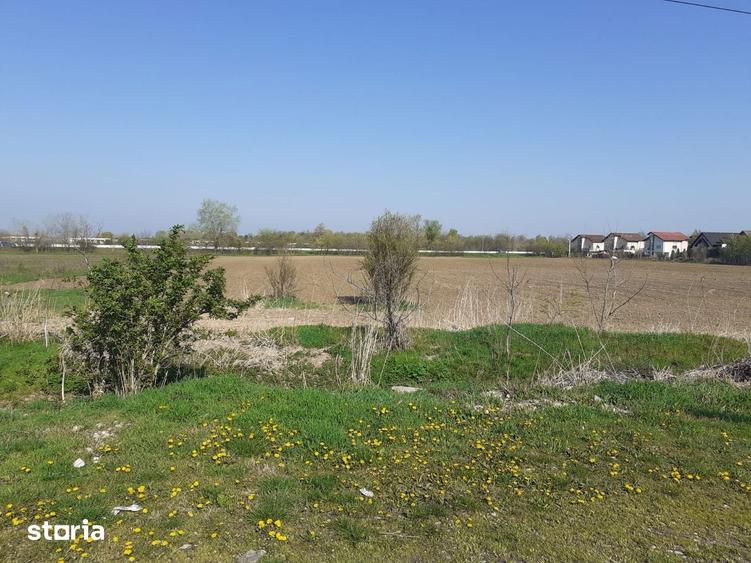 Teren de 28450 mp, în 1 Decembrie