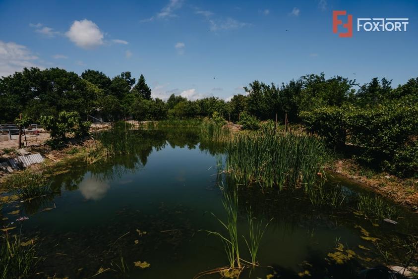 Casă individuală cu 8 camere cu Piscina în Jebel