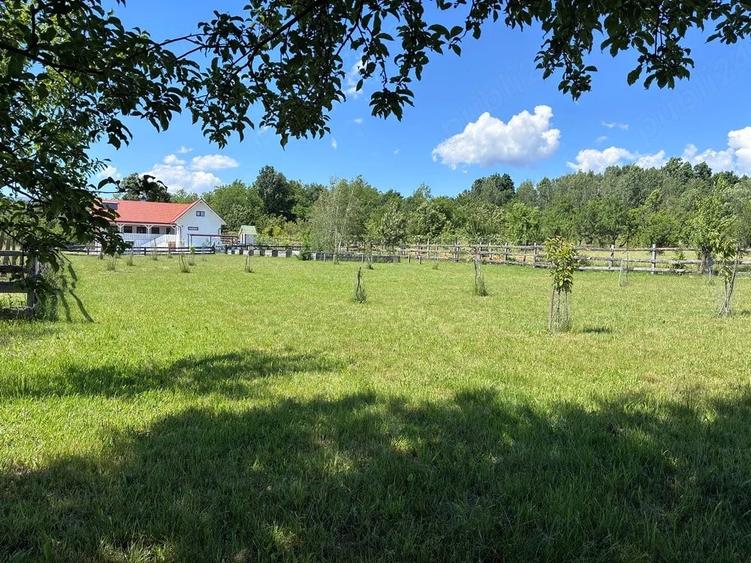 Casă cu 3 camere cu Teren 6000 Mp în Central