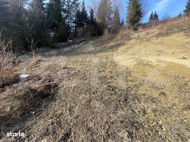 Teren intravilan de vanzare, 15 ari, zona COLIBITA - 3