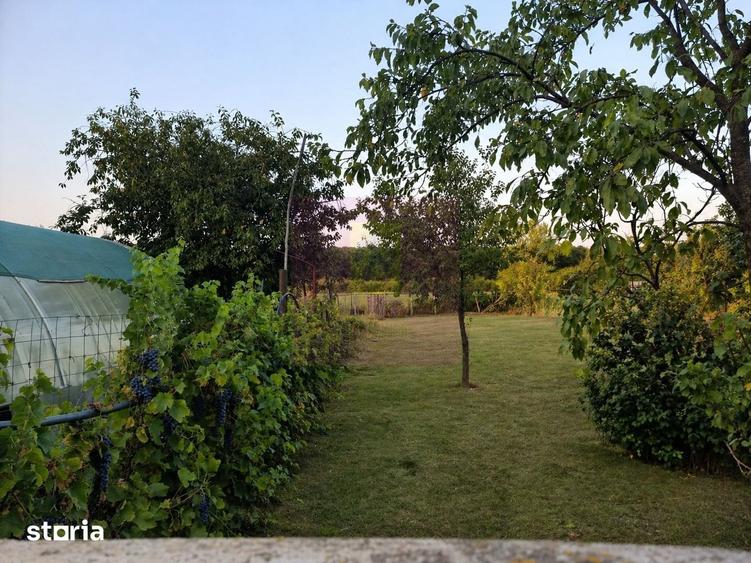 Casă cu 5 camere cu Teren 2875 Mp în Roata de Jos