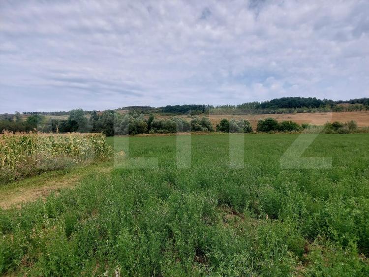 Teren agricol intravilan de 27500 mp, în Răscruci