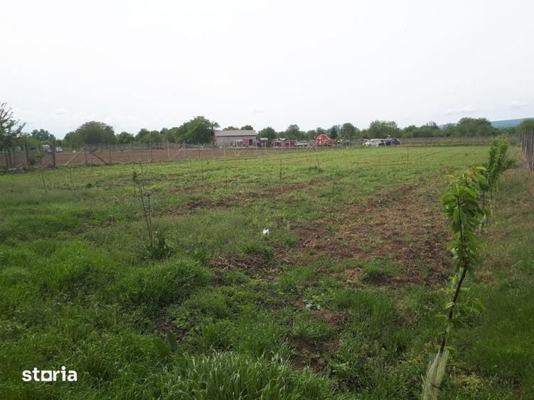 Teren de 687 mp, în Central