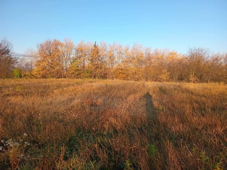 Teren agricol extravilan de 4000 mp, în Dalci