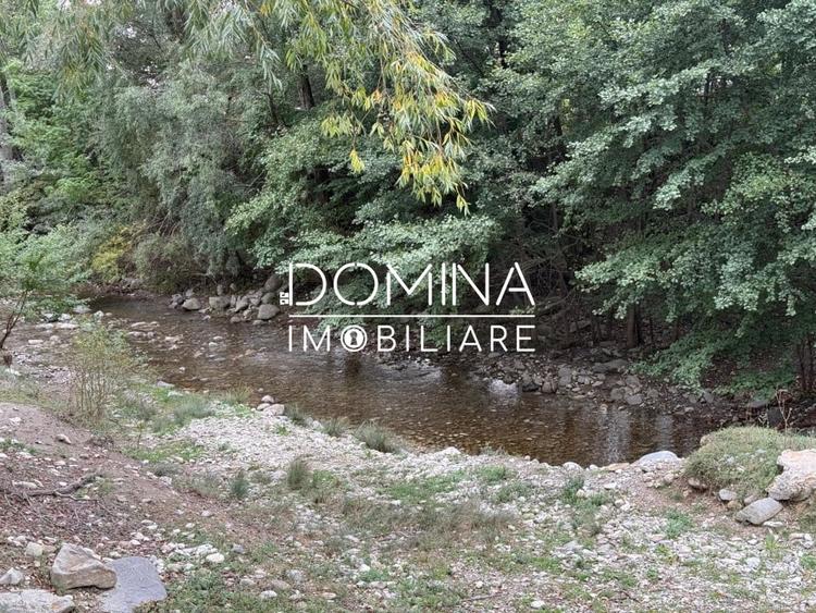 Teren Construcții intravilan de 13000 mp, în Runcu