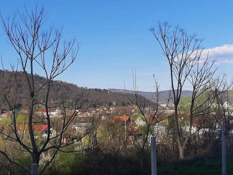 Teren de 11500 mp, în Morilor
