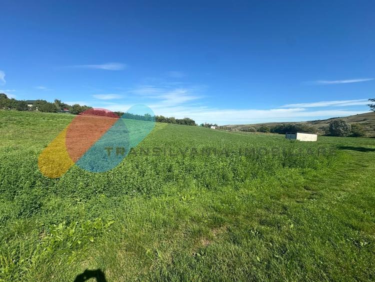 Teren Construcții intravilan de 2550 mp, în Sopor