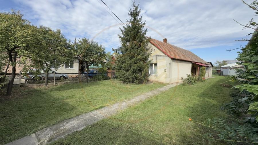 Casă individuală cu 3 camere cu Teren 3263 Mp în Carei