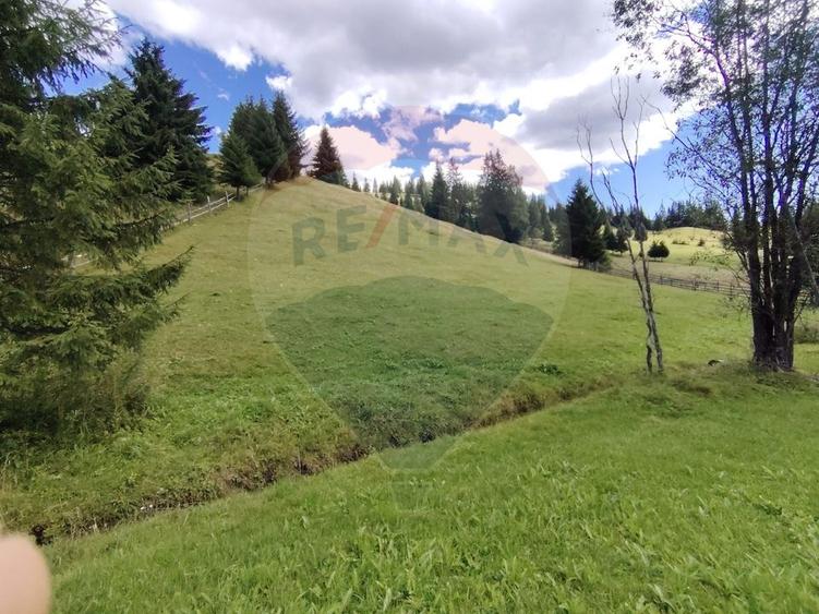 Teren agricol extravilan de 14318 mp, în Panaci