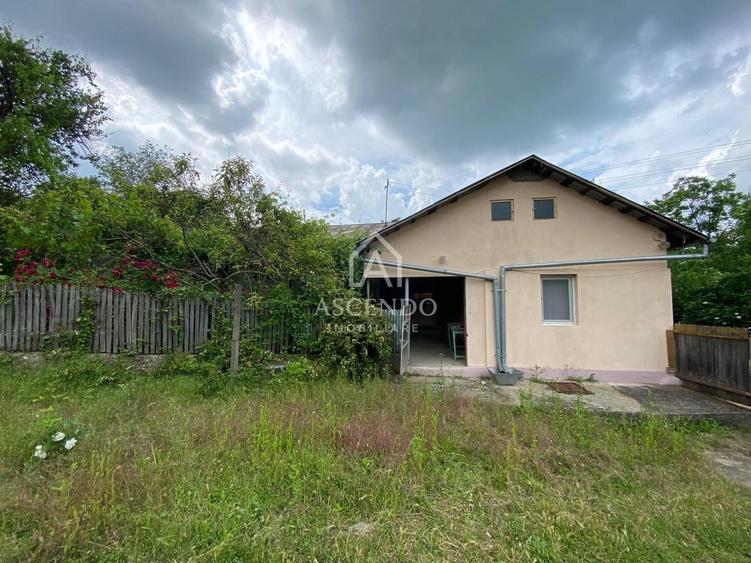 Teren Construcții intravilan de 15900 mp, în Fințești