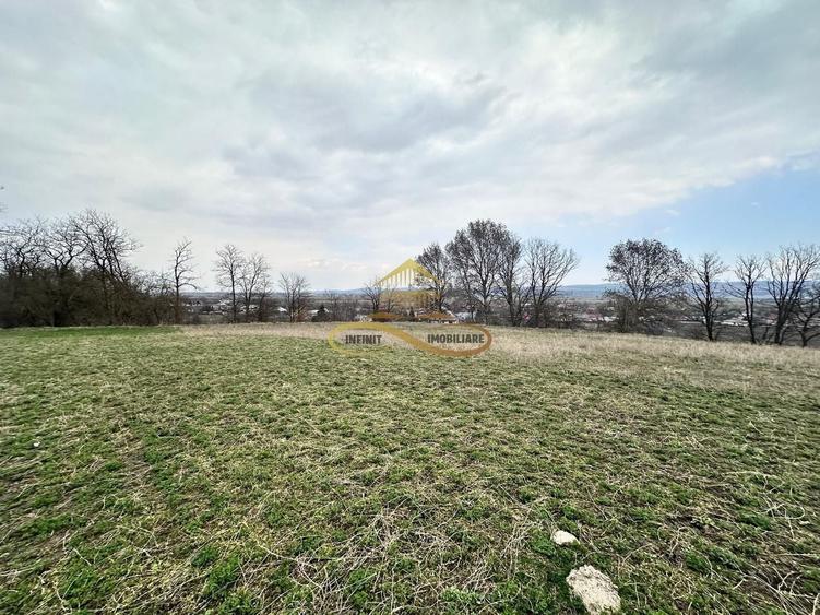 Teren Construcții intravilan de 11021 mp, în Blăgești