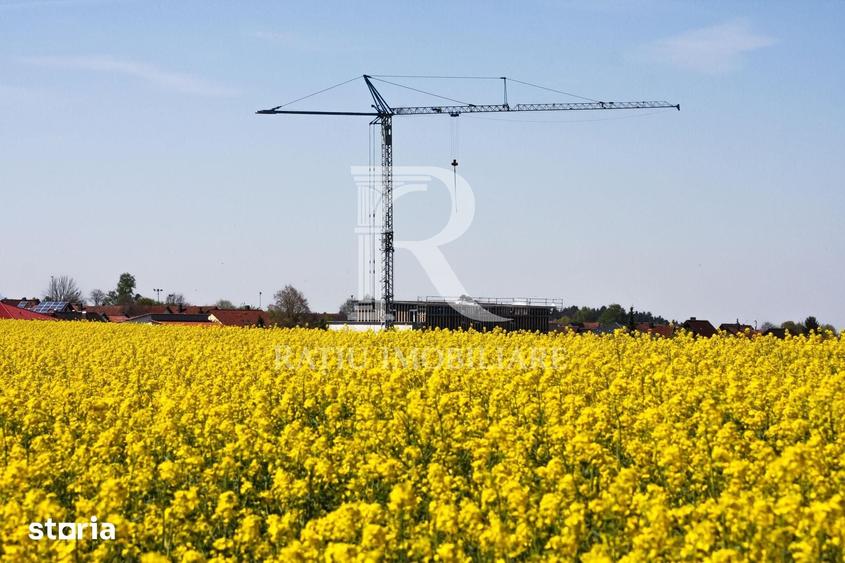 Teren de 15536 mp, în Nufărul