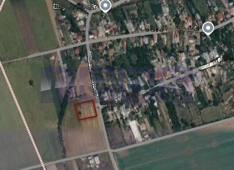 Teren Construcții intravilan de 2000 mp, în Dascălu
