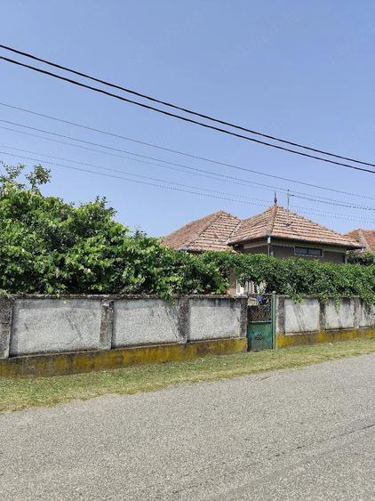 Casă cu 3 camere cu Teren 1600 Mp în Bacea