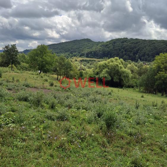 Teren Construcții intravilan de 2526 mp, în Bezidu Nou