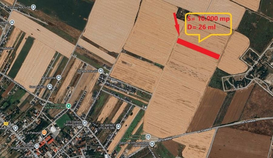 Teren agricol extravilan de 10000 mp, în Dragomirești-Vale