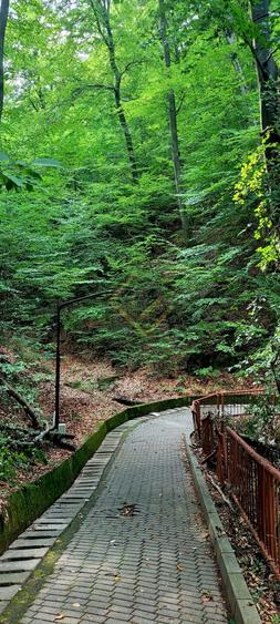 Teren Construcții intravilan de 2000 mp, în Central
