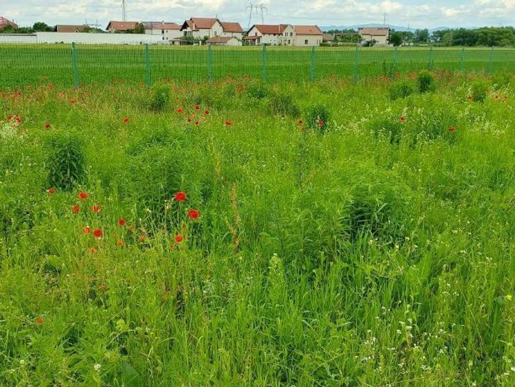 Teren Construcții intravilan de 837 mp, în Stupini