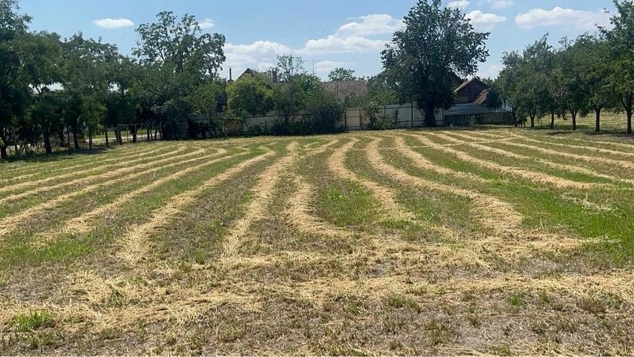 Casă cu 6 camere cu Teren 3000 Mp în Rudna