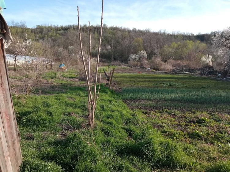 Casă cu 2 camere în Hotarele