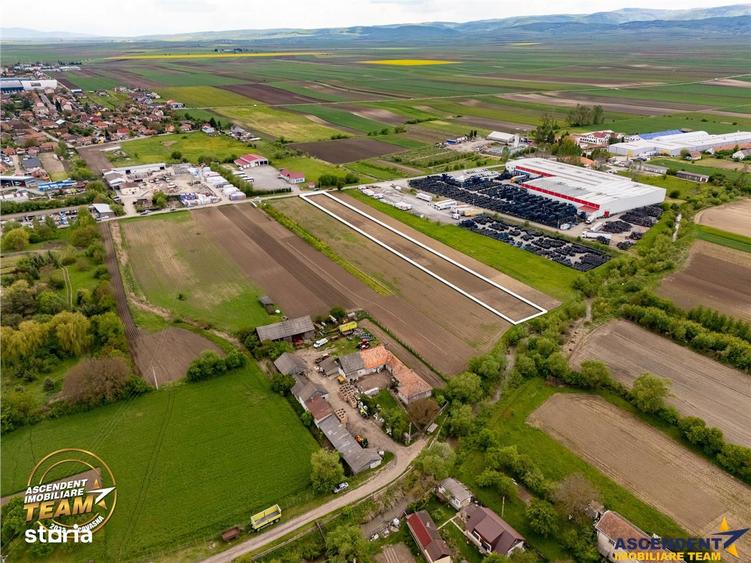Teren de 5000 mp, în Central