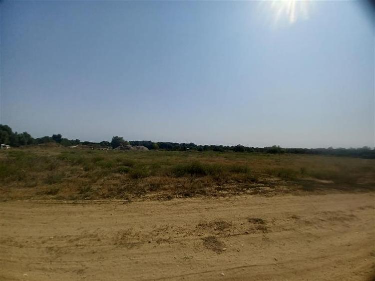 Teren extravilan de 38000 mp, în Adunații-Copăceni