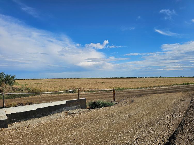 Teren Construcții intravilan de 3848 mp, în Zurbaua