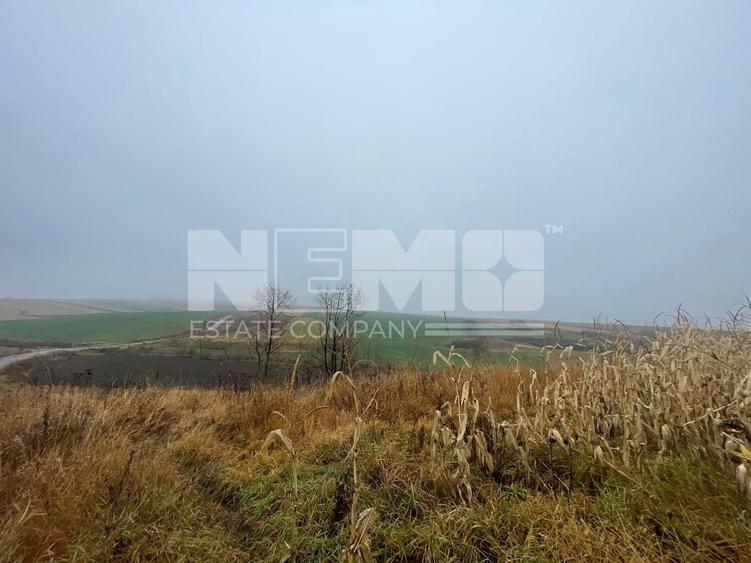 Teren agricol extravilan de 28400 mp, în Dărmănești