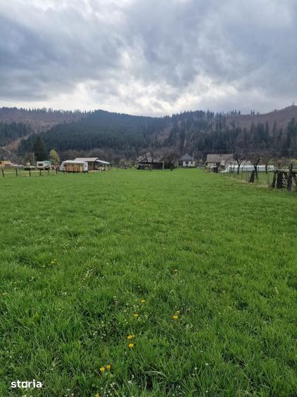 Teren de 7173 mp, în Vatra Moldoviței