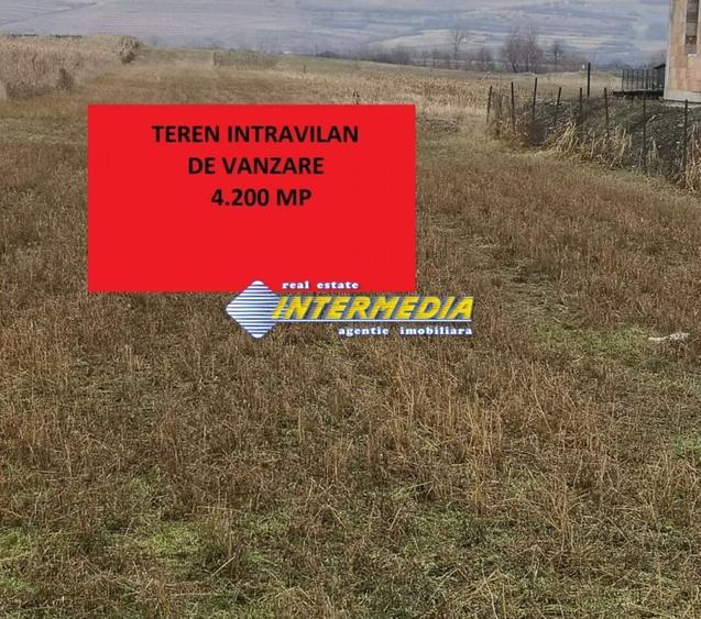 Teren Construcții intravilan de 4200 mp, în Cetate