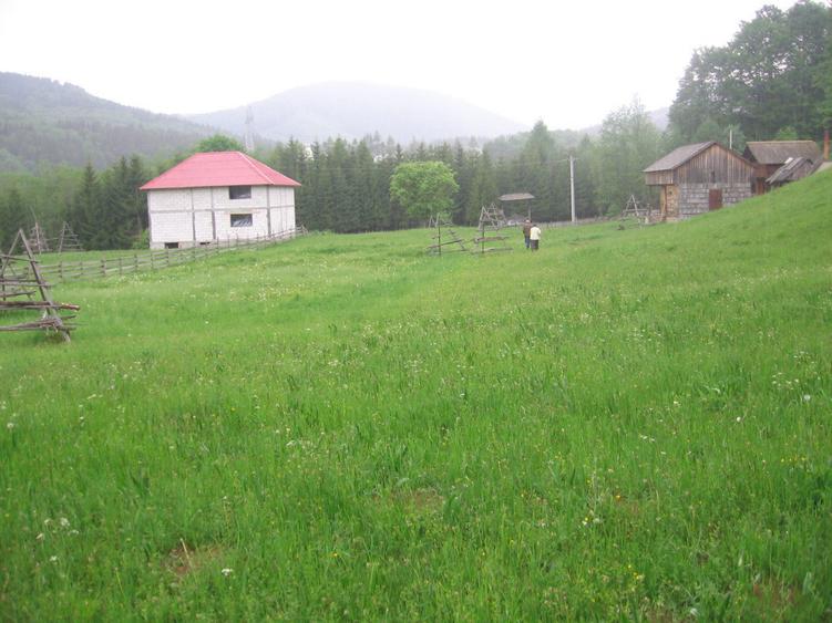 Teren intravilan Valea Doftanei - 4