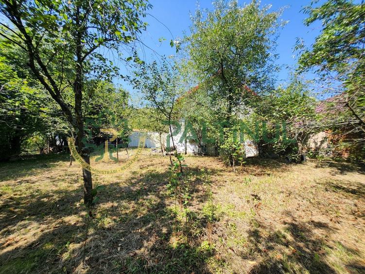 Casă individuală cu 2 camere cu Canalizare în Nucet
