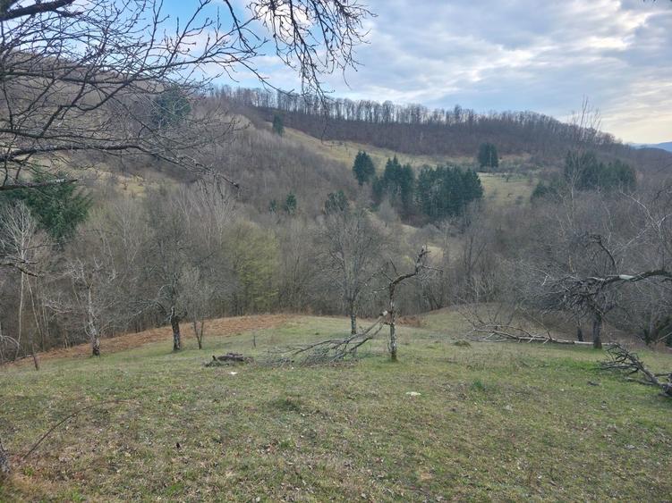 Casă cu 2 camere în Hălmagiu