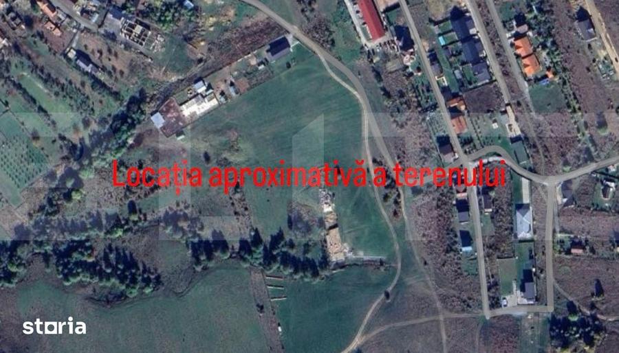 Teren de 8000 mp, în Ciurila