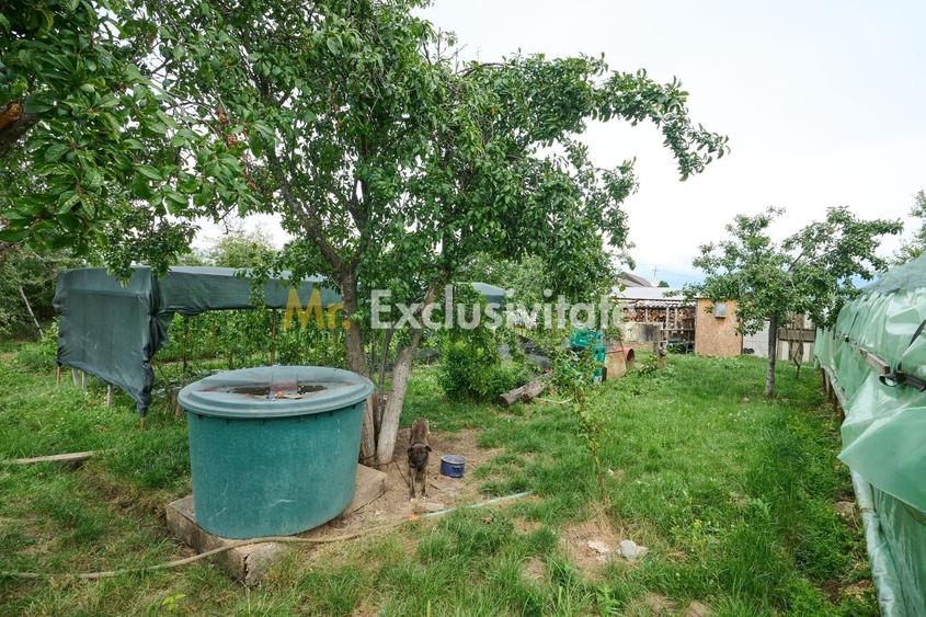 Casă cu teren generos – Vedea-Arges - 34