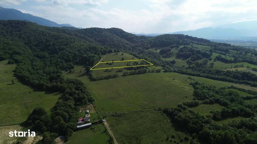 Teren de 11000 mp, în Cheile Râșnoavei
