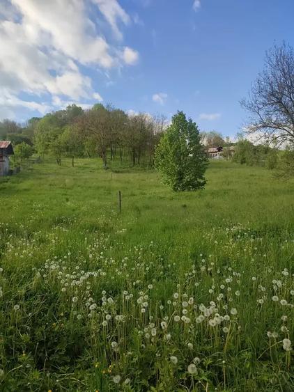 Teren intravilan de 1400 mp, în Sultanu