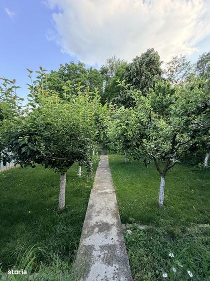 Casă cu 3 camere cu Teren 544 Mp în Domnești