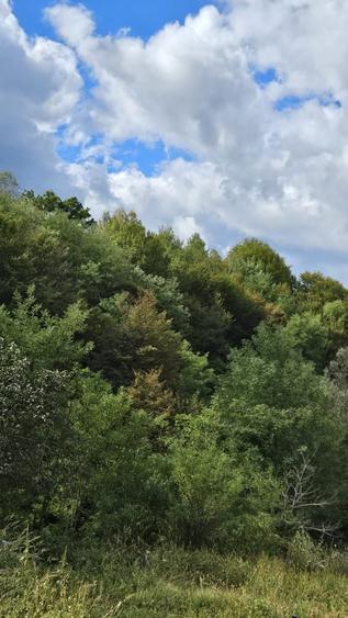 Casă cu 3 camere în Palazu Mare