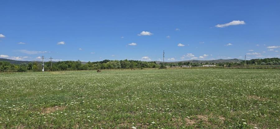 Teren Construcții intravilan de 23020 mp, în Răscruci