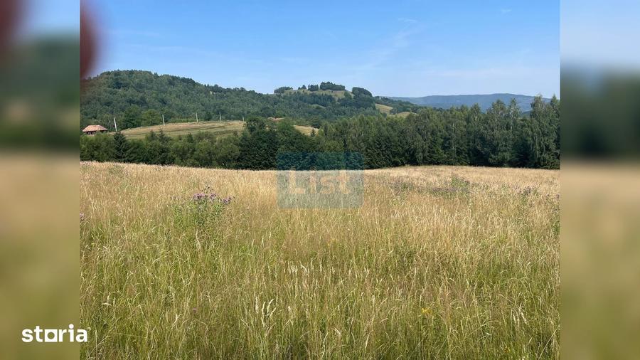 Teren cu poten?ial turistic, cadru natural rar, 20.000 mp Sacuieu - 4