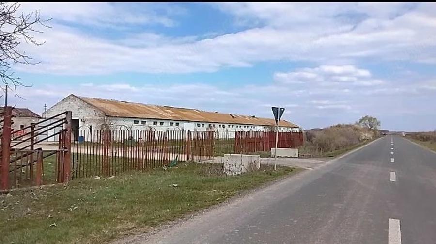 Teren de 16575 mp, în Sintea Mare