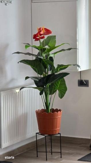 Apartament cu 2 camere în Nord