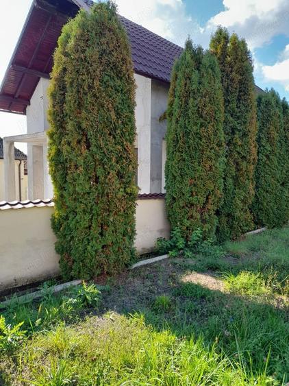 Teren de 2664 mp, în Valea Seacă