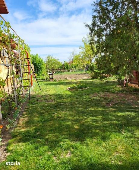 Casă cu 6 camere cu Teren 2500 Mp în Fulga