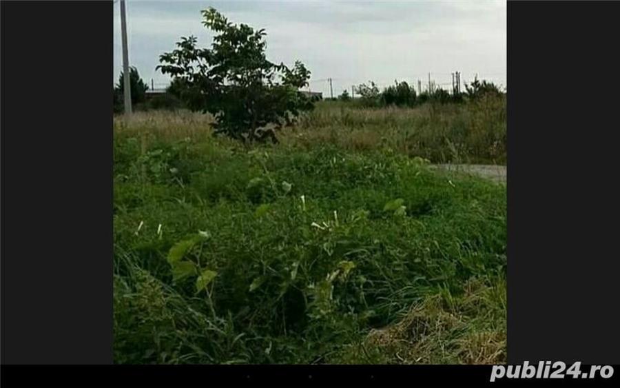 Teren de 956 mp, în Giarmata