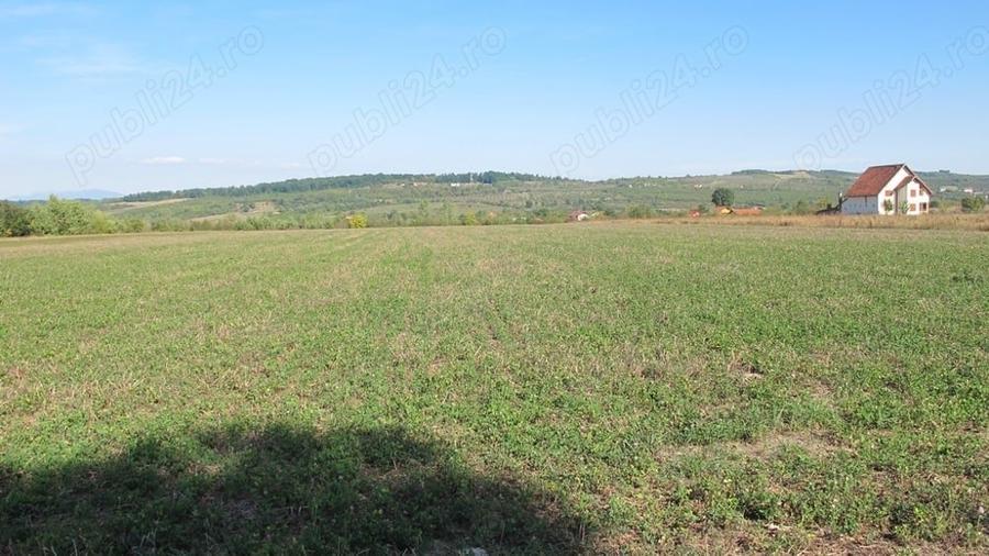 Teren de 3000 mp, în Central