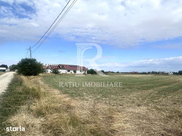 Teren de 9482 mp, în Leș