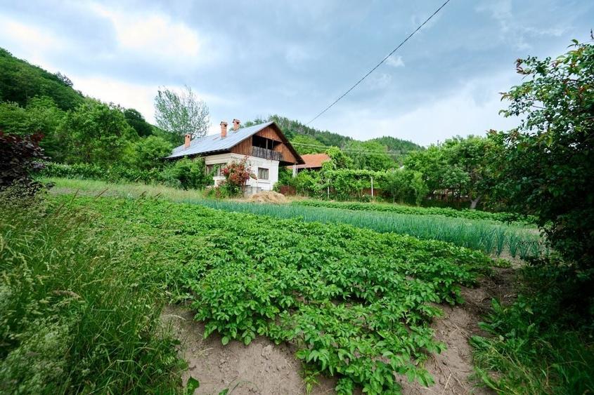 Casă individuală cu 3 camere cu Canalizare în Sud-Vest