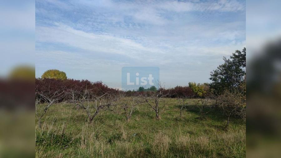 Teren agricol extravilan de 2000 mp, în Făget